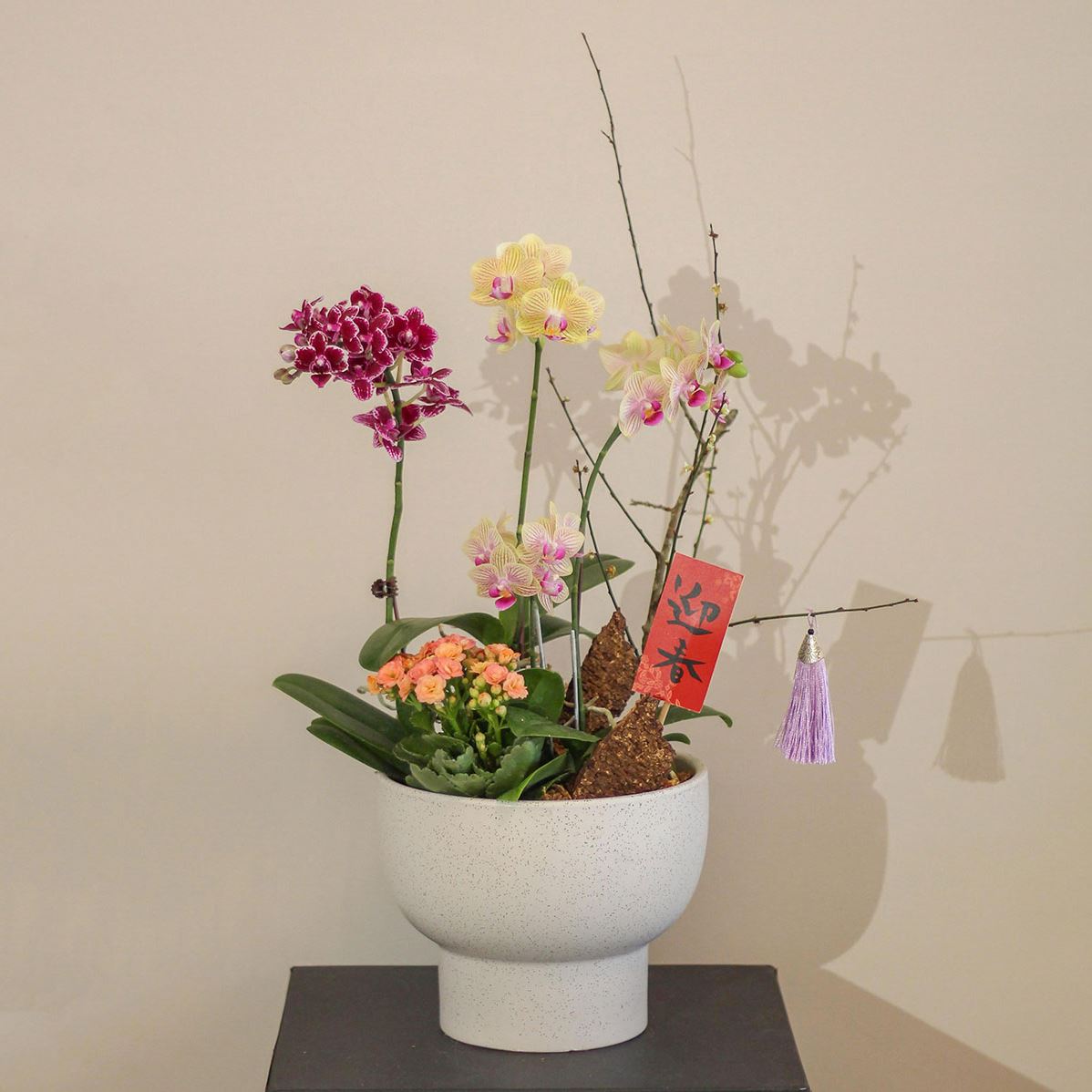 馬年賀喜蘭花盆L1580-1.jpg